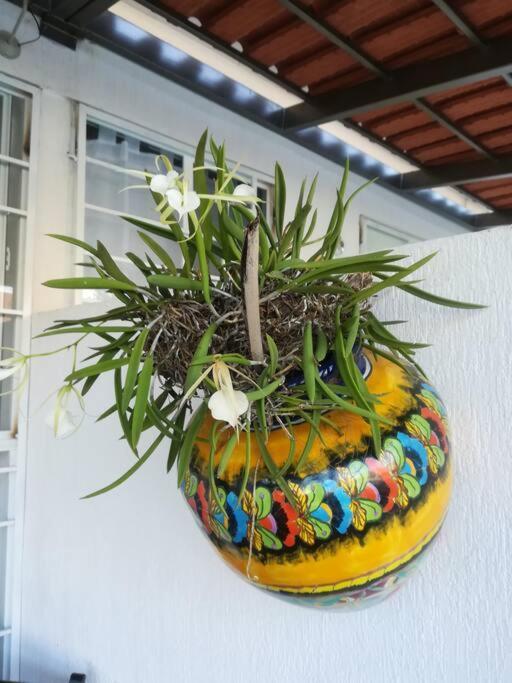 Privadas Turquesa, Nombre Del Alojamiento "Casa Niza Cancun" المظهر الخارجي الصورة